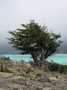 Perito Moreno National Park