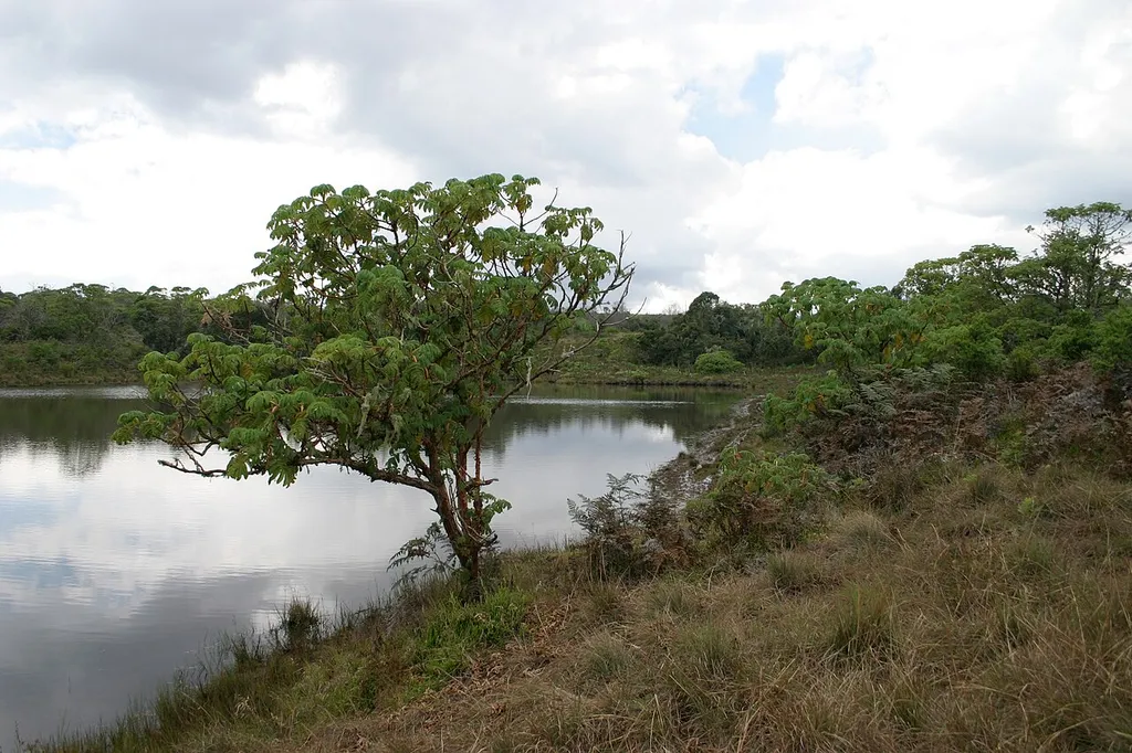 Lake Kaulime, Nyika Plateau, Malawi