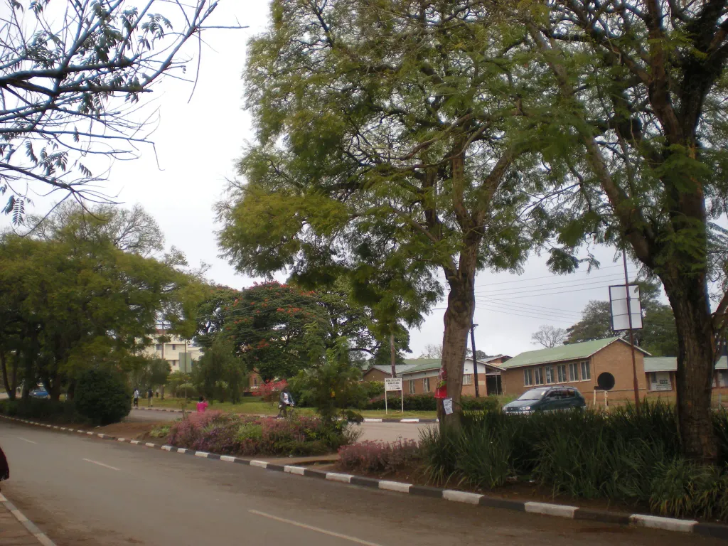 A street in Mzuzu