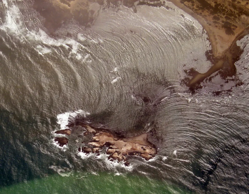Año Nuevo Island, off Año Nuevo Point.