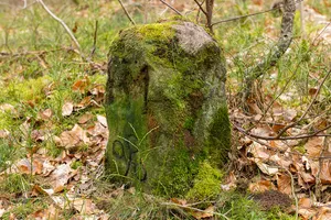 Grenzstein Fürther Stadtwald in Fürth