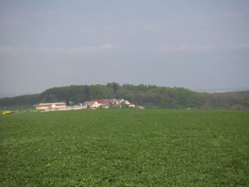 Nedosinsky haj (means forest), natural monument near Litomysl, Eastern Bohemia