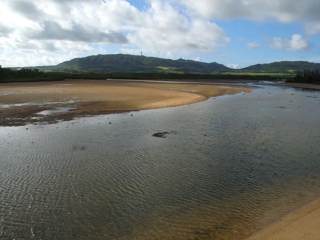 Nagra-anparu (Ramsar Sites), Ishigaki-jima, Okinawa, Japan / 名蔵アンパル（沖縄県石垣島） - ラムサール条約登録湿地