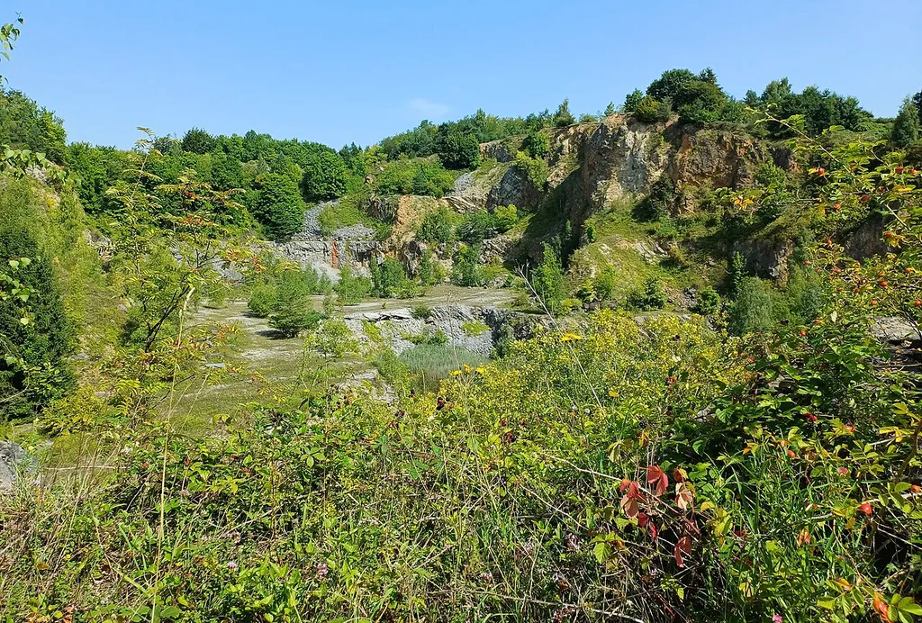 Naturschutzgebiet Steinbruchbereich Bernhardshammer und Binsfeldhammer