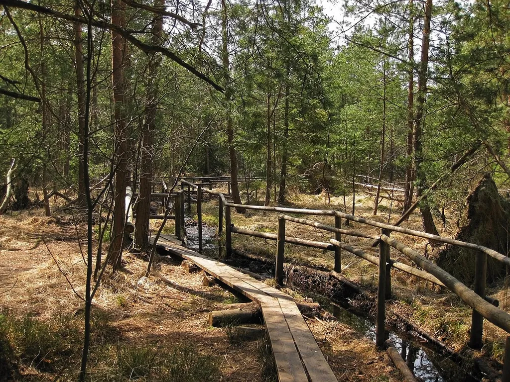 This media shows the nature reserve in Lower Austria with the ID 31.