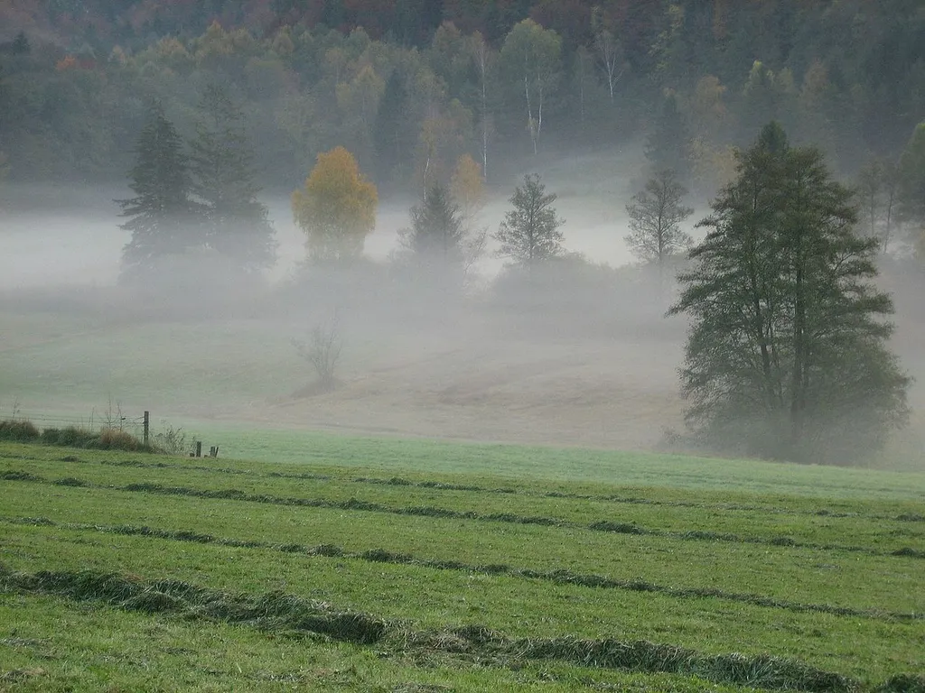 Moorwiesen bei Kemmerlang, ehemaliges Torfabbaugebiet, heute Naturschutzgebiet „Kemmerlanger Moos“