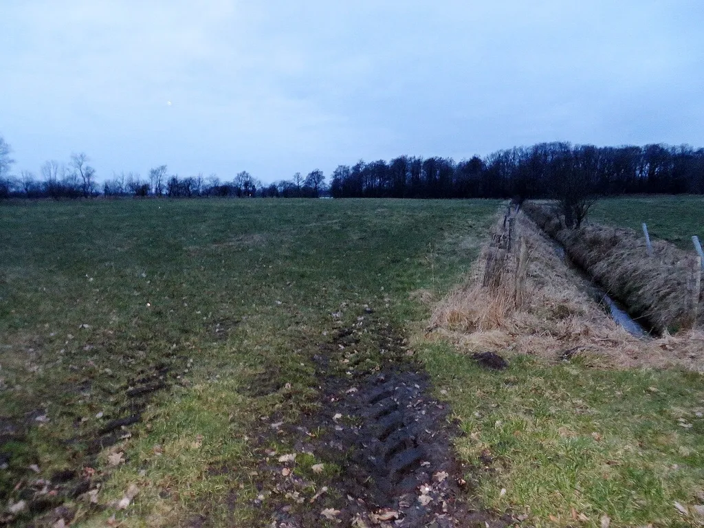 Begehung des Areals der Turmhügelburg Handewitt (7 März 2017 zur Dämmerung), Bild 02B;brighter, sharper Version