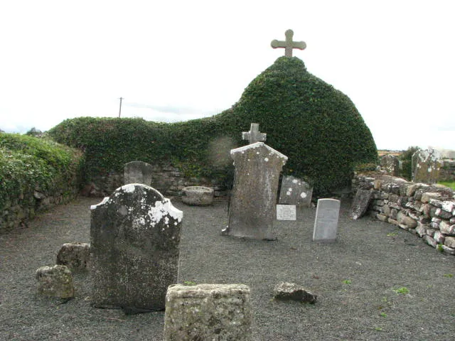 Ballyellin Church This is a old Church and graveyard , not far from the village of Goresbridge.