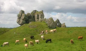 Clonmacnoise Castle