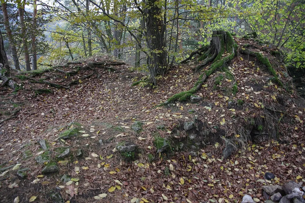 Drahonín - zřícenina hradu Košíkov.