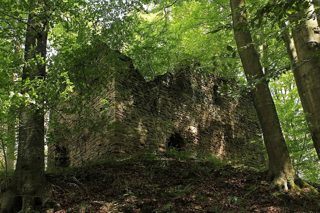 Die Rundersburg wurde im Jahr 1150 erbaut - bereits im Jahr 1300 wurde die Burg jedoch verlassen und verfiel.
