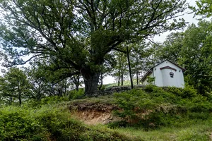 St. Petka Church