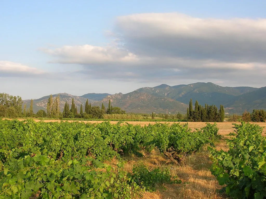 Les Albères vues depuis Saint-Génis-des-Fontaines