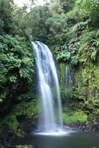 Amber Mountain National Park
