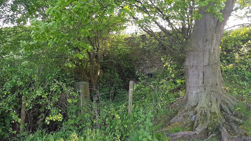 Belgium-Netherlands boundary stone no. 17a