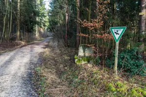 Tennenloher Forst