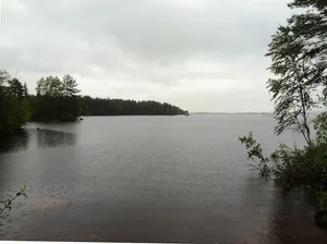 Telekino