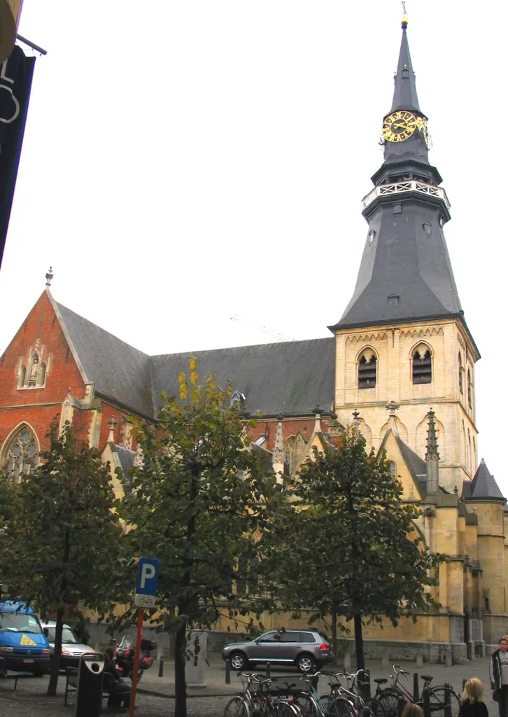 Sint-Quintinuskathedraal - eigen foto