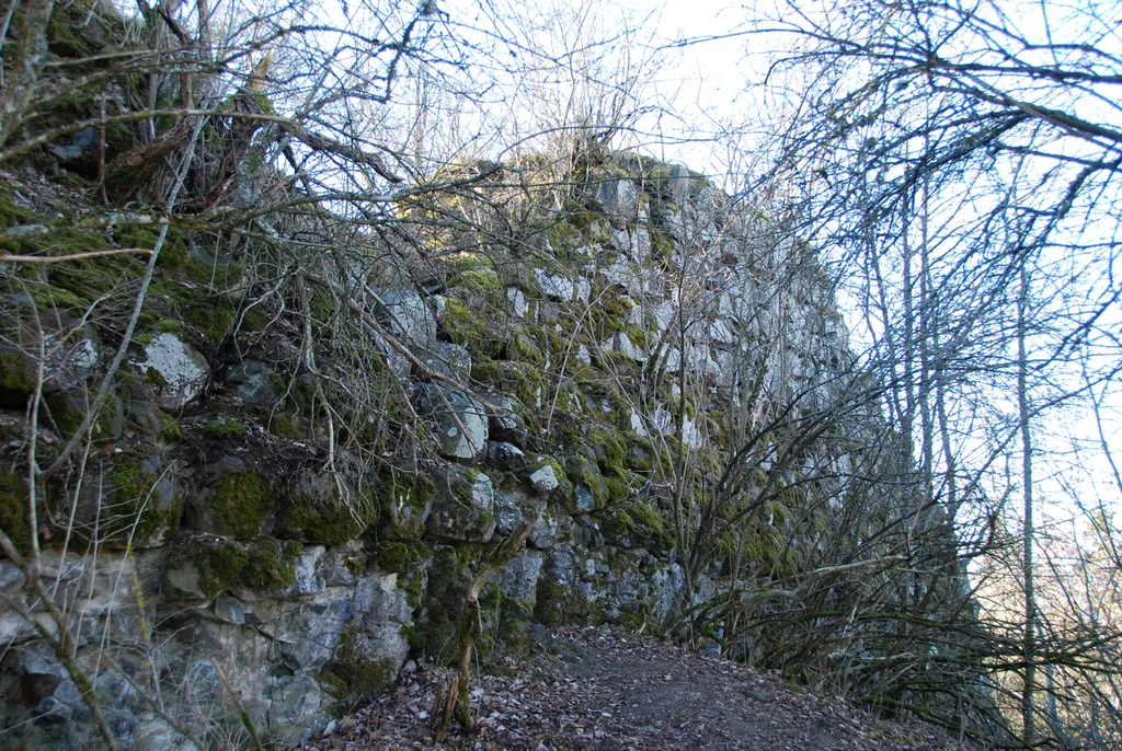 Burg Wartenberg