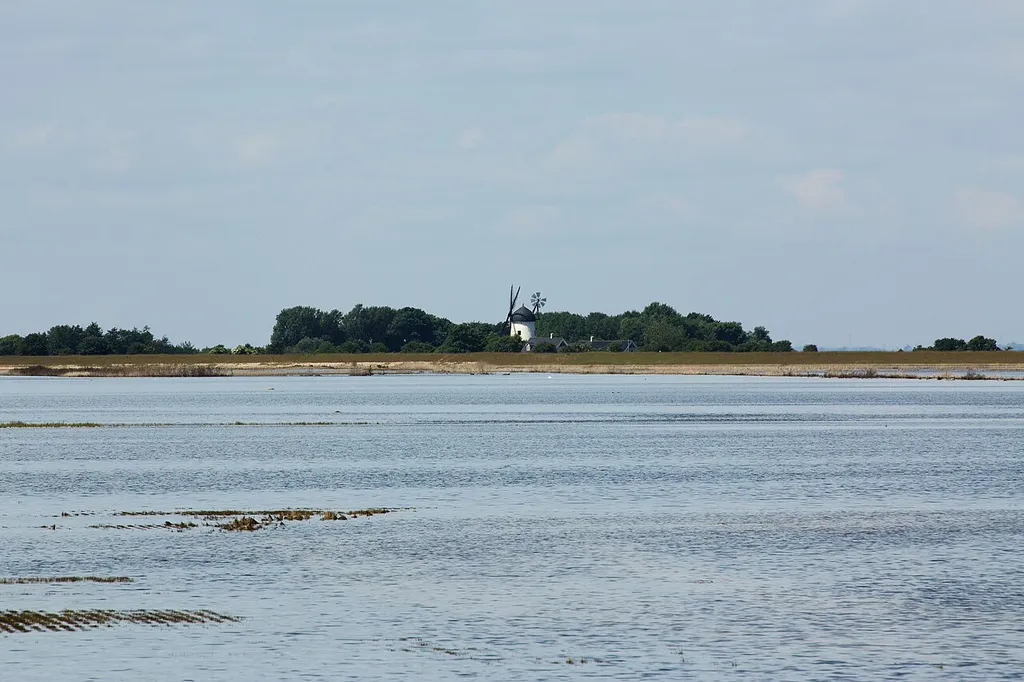 Gyldensteen Strand havlaguen med Stegø Mølle i baggrunden