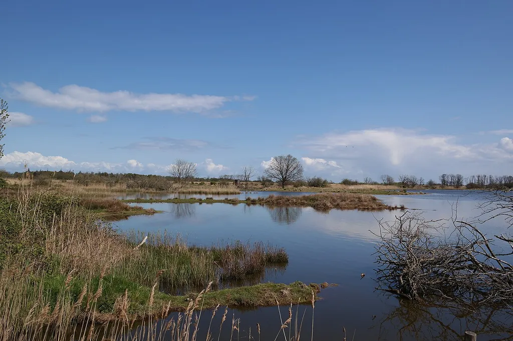 Küstenbereiche Flensburger Förde von Flensburg bis Geltinger Birk