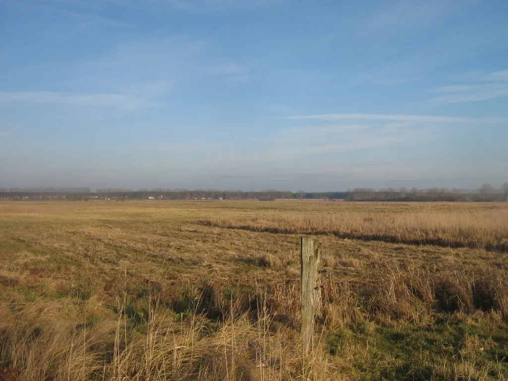 Das Kremmener Luch in der Nähe der Horstberge