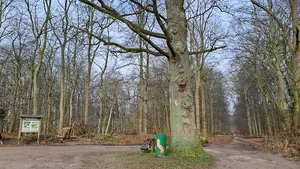 Klosterforst Preetz