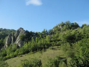 Burg Niort-de-Sault