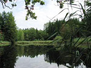 Klosterfilz