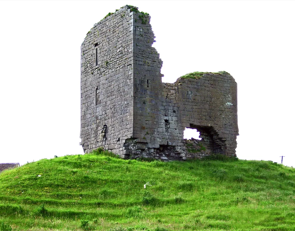 Castles of Munster: Doonmacfelim, Clare