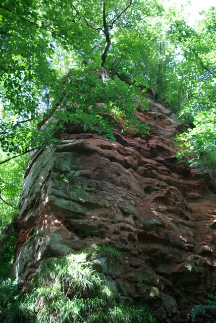 Red sandstone cliff (Auchinleck Castle) Perched precariously on the cliff top are the fragmentary remains of Auchinleck Castle, dating from around the 14th century and seat of the Auchinlecks of that Ilk. With it's cliff top location and being sited between the Lugar Water &amp; Dippol Burn, the castle's natural defences are highly impressive.