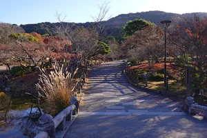 Maruyama Park