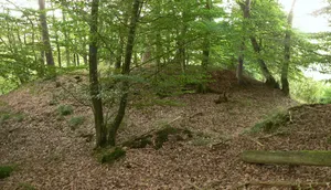 Mückenburg
