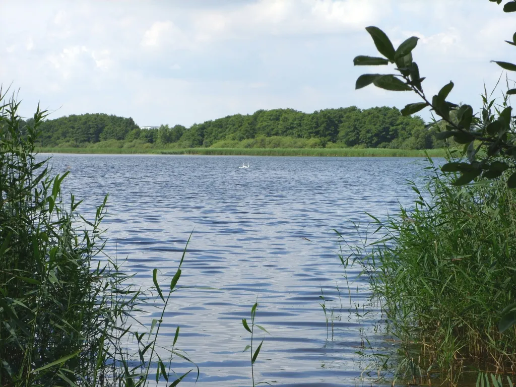 Lake of Medewege, Schwerin (Germany)