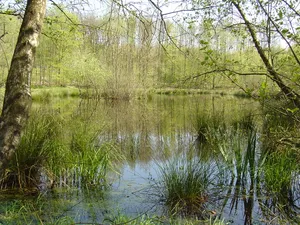 Breitsee