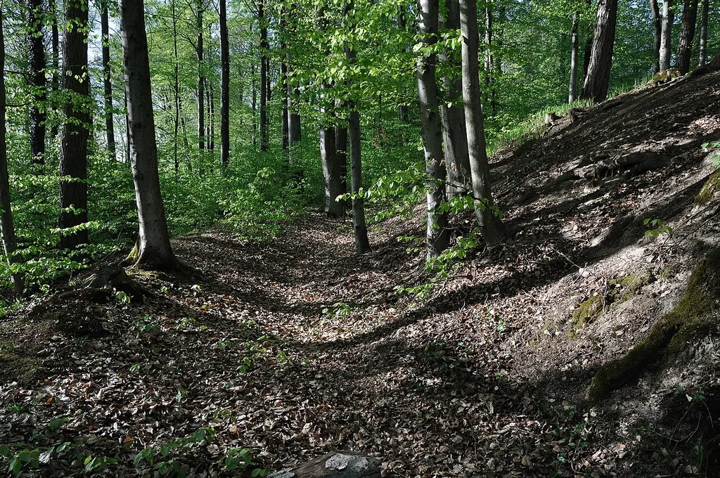 Burgstall Heidenschloss, Hauptwall und innerer Vorgraben, Friedrichshafen, auf dem Drumlin Weiherberg