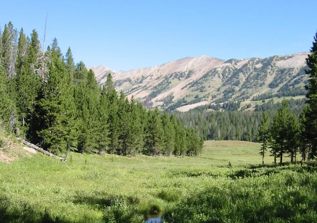 Gallatin National Forest, Montana, U.S. The image shows the view above the Cabin Creek Cabin in the Hebgen Lake area of the National Forest.