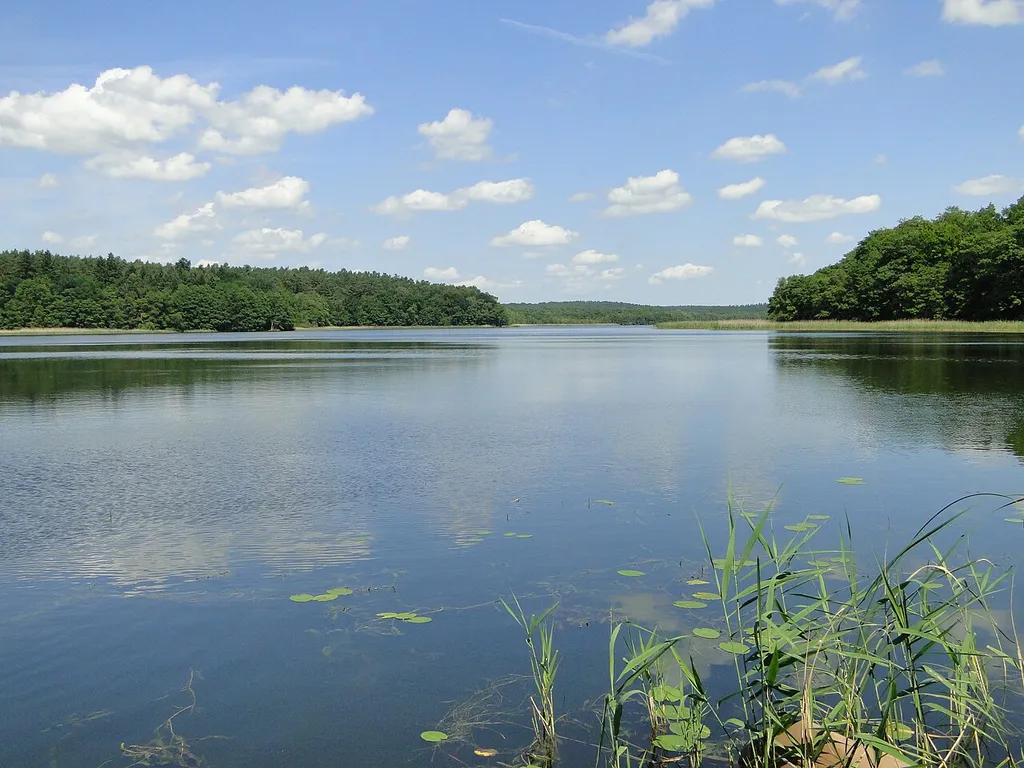 Lake Langsee in Neu Sammit, district Güstrow, Mecklenburg-Vorpommern, Germany