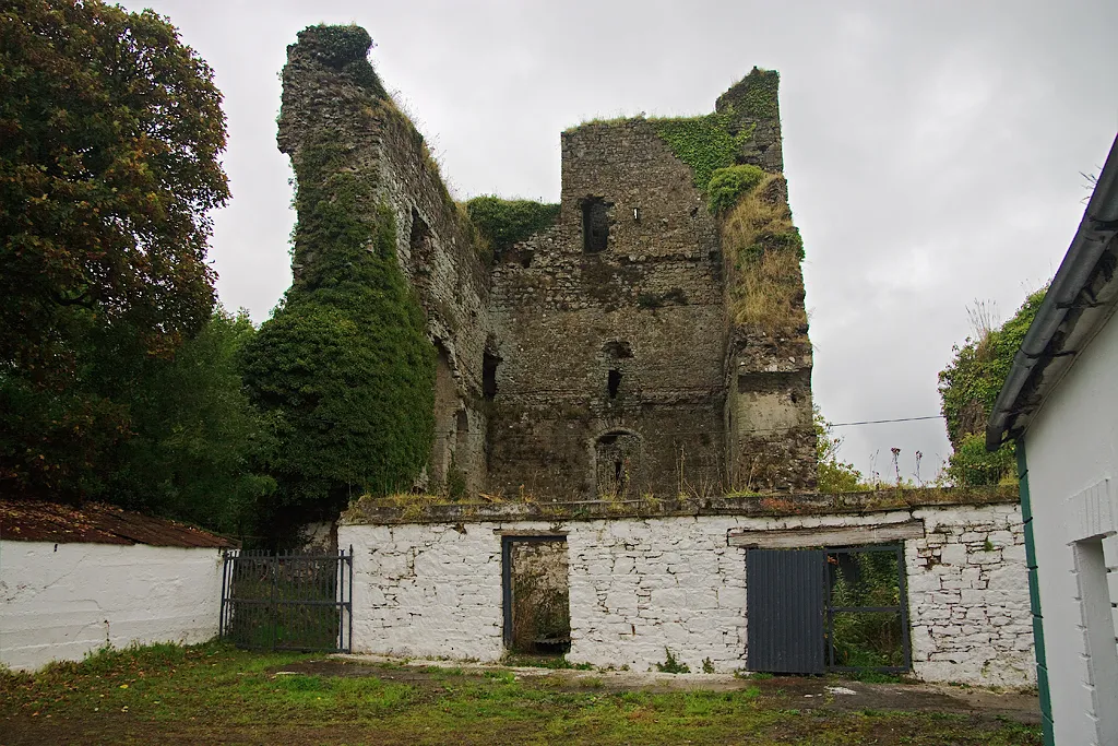 Castles of Munster: Castletown Coonagh, Limerick, near to Derraun Bridge, Limerick, Ireland. The remains of this castle in a farmyard lies close to the Cahernahillia River south of Doon. The view is of the interior, as access to the exterior on the opposite side was not possible on this occasion. Although generally known as an O'Brien castle from their later occupation, it is in fact a Norman keep dating from c.1200 its east end wall still standing over 60 feet in height.