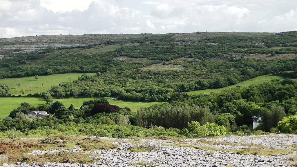 View south from the hill overlooking Gregan East, with the old tower house (now a private residence) on the right and the hotel on the left