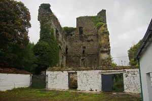 Coonagh Castle