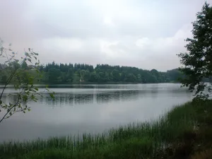Tauragnas