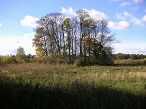 Burgwall Gädebehn