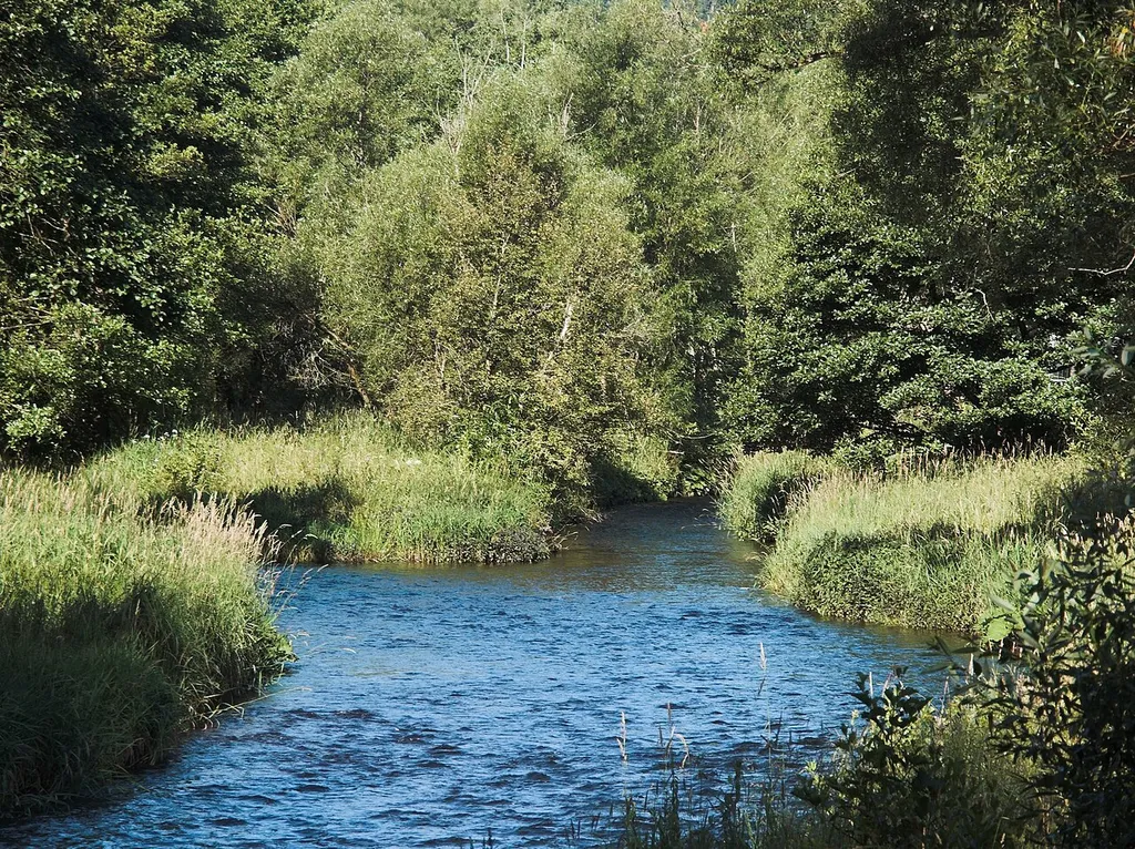 Zusammenfluss der Warmen (links) und der Kalten (rechts) Bode bei Königshütte.