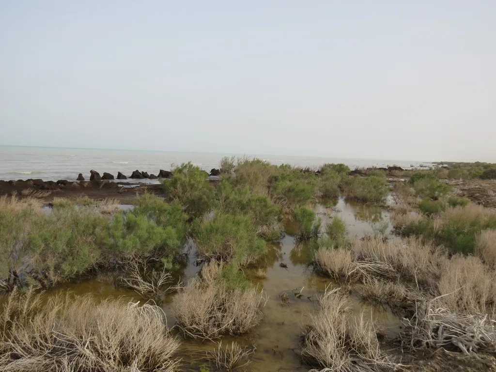 Sarykamysh lake, by courtesy of ecoport.uz