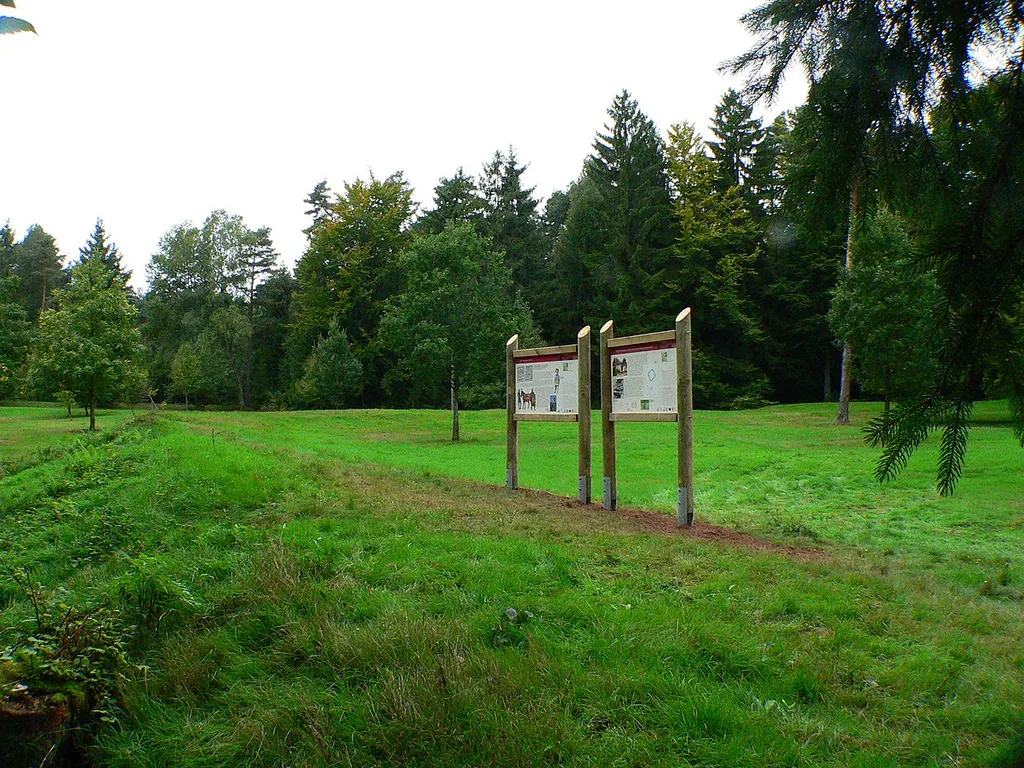 Gelände des Römerkastells Würzberg, Michelstadt, Odenwald, Deutschland