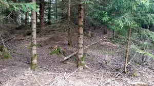Hallstattzeitliche Grabhügelgruppe Hainstadt (Buchen)
