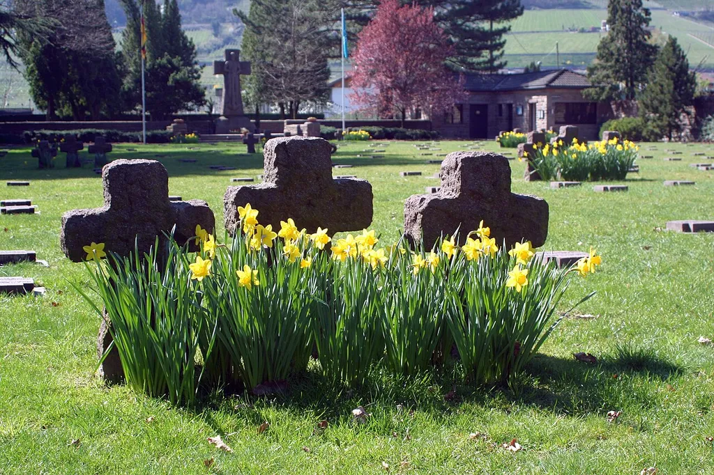 Deutscher Soldatenfriedhof Meran im Frühling