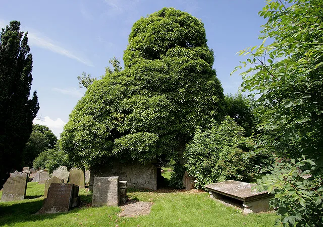 The Auld Kirk at New Cumnock