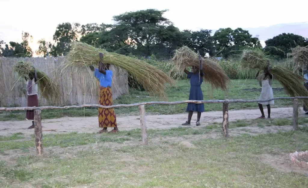 Mongu